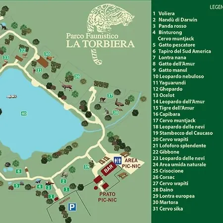 Malpensa Airport-safari Park-starry Sky-netflix Lejlighed