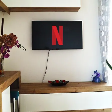 Malpensa Airport-safari Park-starry Sky-netflix Varallo Pombia